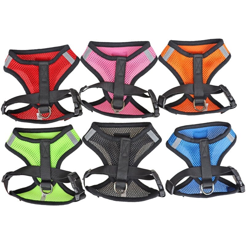 HarnaisMax™ - Ultra comfortable harness for dogs and cats | Dogs &amp; cats 