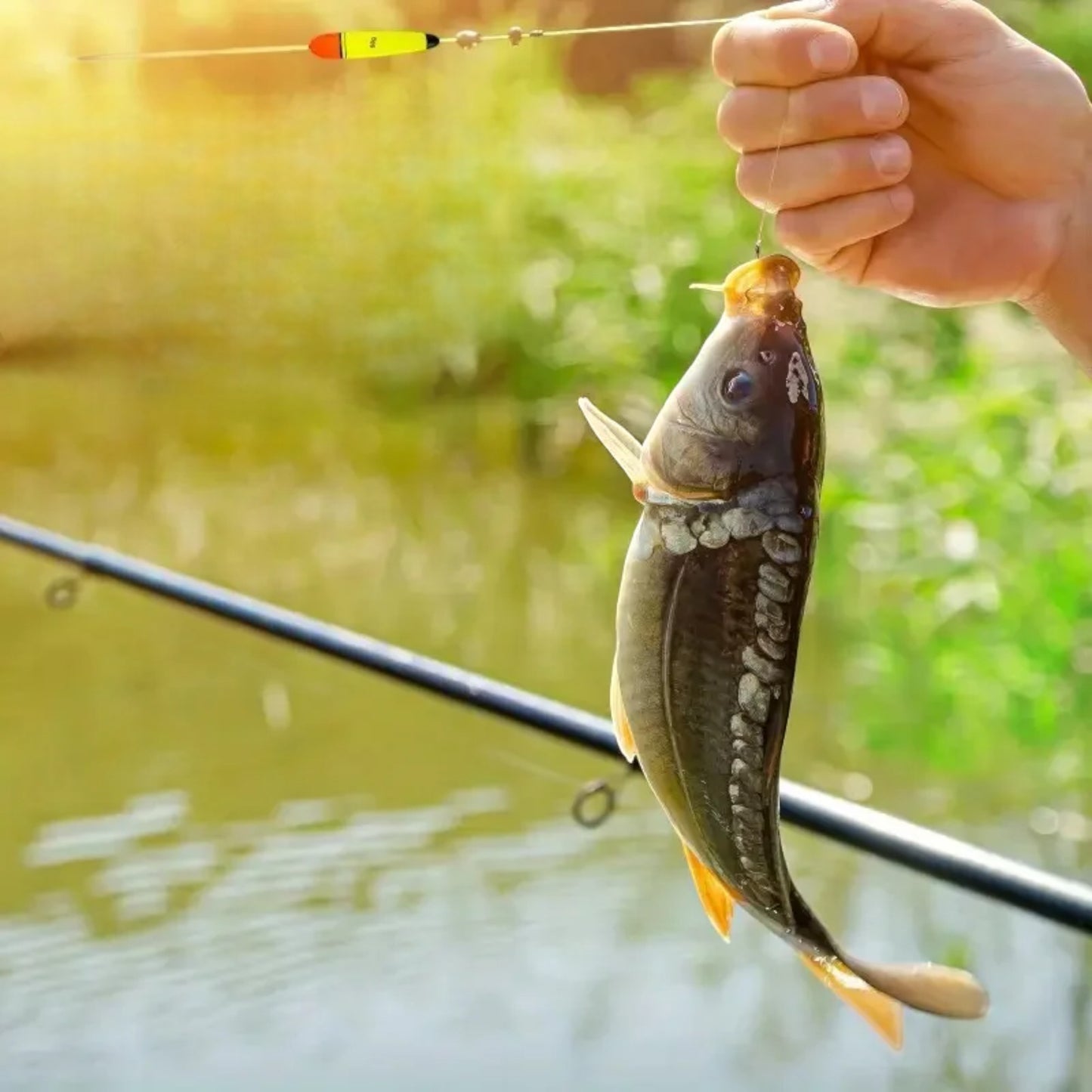 FLOTTEUR PECHE - FoamFishingFloat™