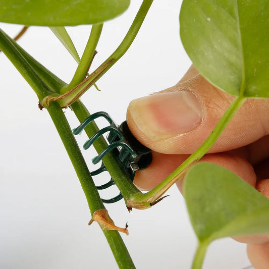 MiniPlastiqueAttachesPourPlantes™