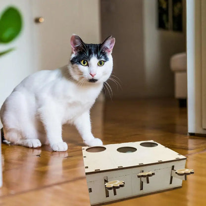 Jouet Interactif Chat - CatWhack™