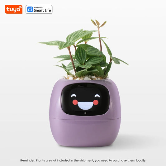 Pot de fleurs -  SmartPlanter™ - Mauve