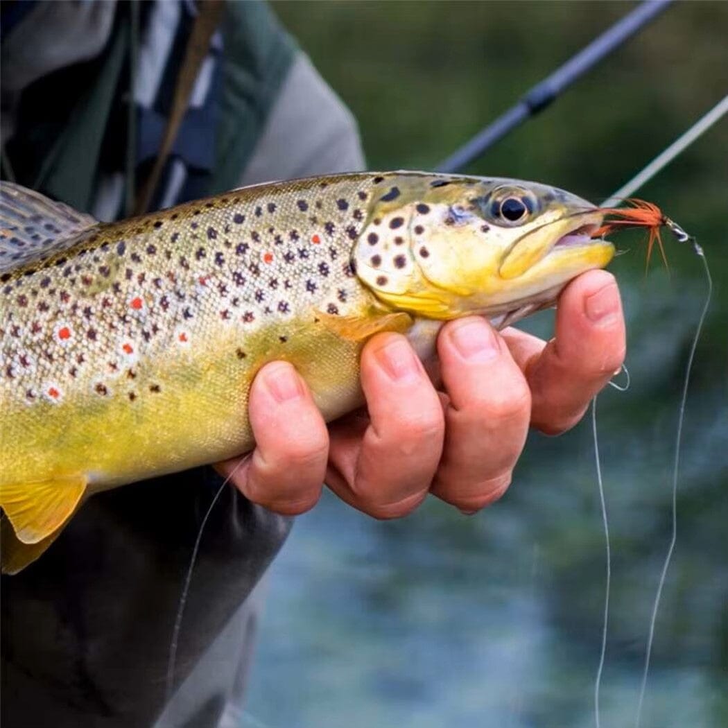 Mouches de Pêche - FlyHook™ - Royal Wulff
