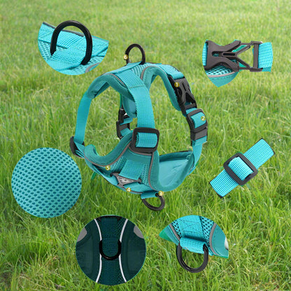 Harnais Petit Chien - DogHarnessVest™ - Cyan