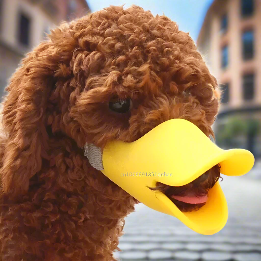 Muselière - MuzzleDuck™ - Jaune