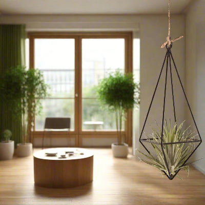 Porte Plante - AirBloom™ - Diamond Noir