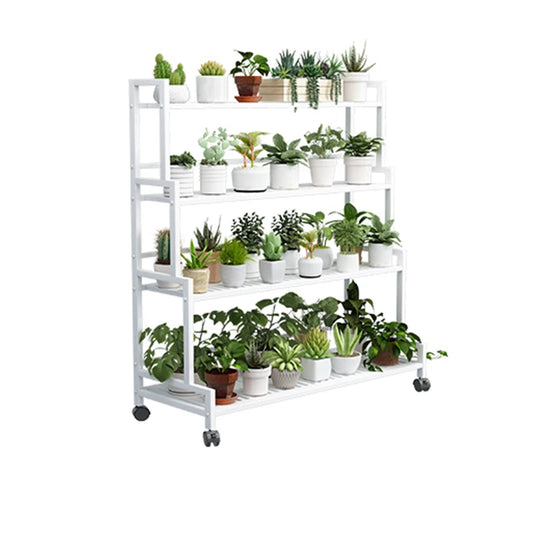 Flora4Steps™ - Blanc