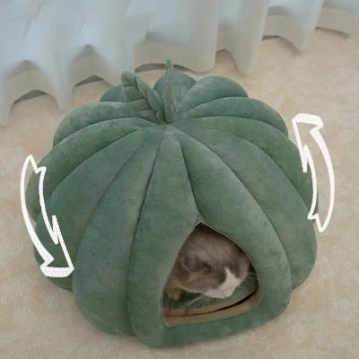 Niche pour Chat - Pumpkin Paws™