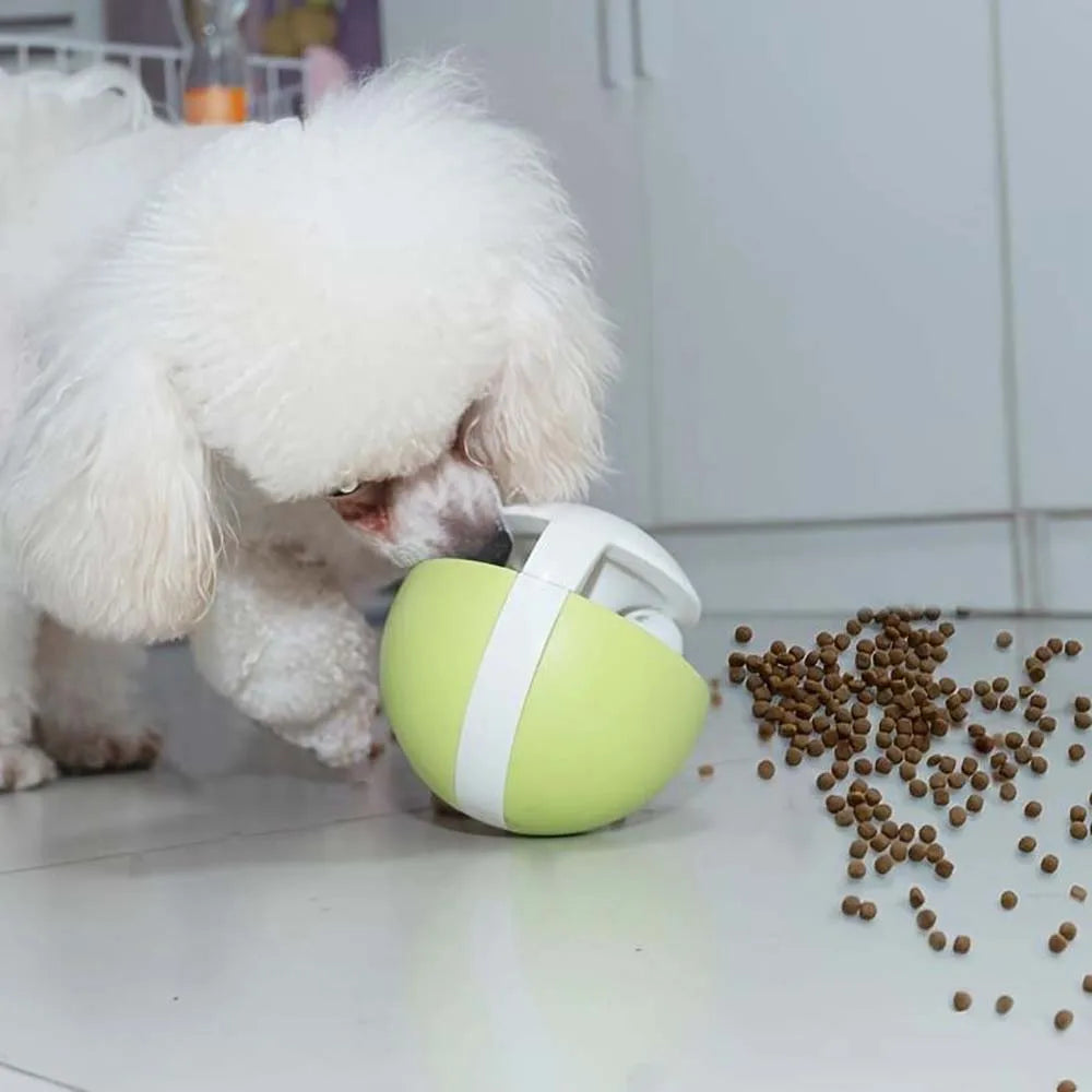 Jouet Interactif pour Chien - TreatCupPlay™ - Vert