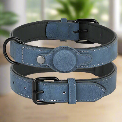 Collier pour Chien - DogGuard™ - Bleu