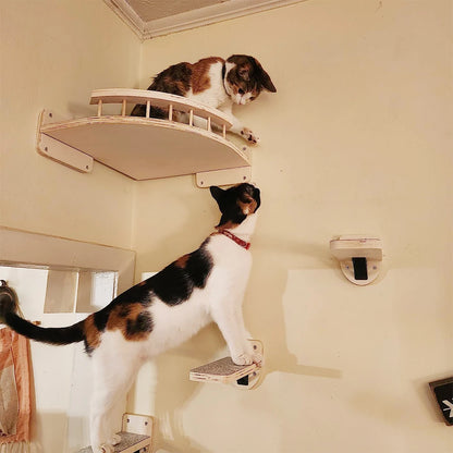 Échelle Murale en Sisal - ClimbCat™