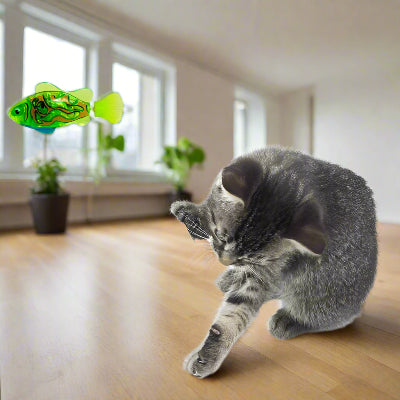 Jouet Interactif Chat  - CatchyFish™ - Vert