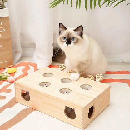 Jouet Interactif Chat - WoodMole™