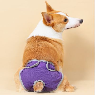 Couche pour chien - FemaleDogShorts™ - Violet