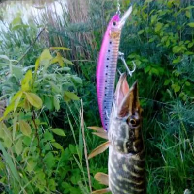 Leurre de peche - FishingLureBait™ - Rose