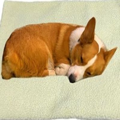 DogHeatingPad™- Beige