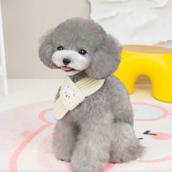 Écharpe chien - DogKnittedScarf™ - Beige