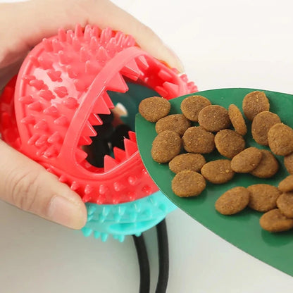 Jouet de Dentition - DogBallChewToy™ - Turquoise