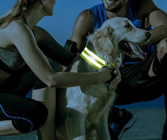 SécuritéBandesRéfléchissantesElastiques™