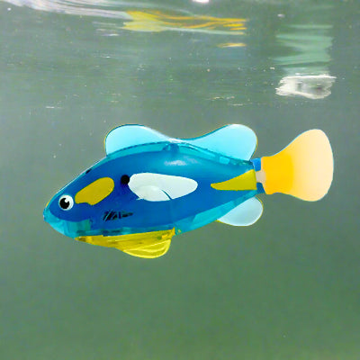 Jouet Interactif Chat  - CatchyFish™ - Bleu