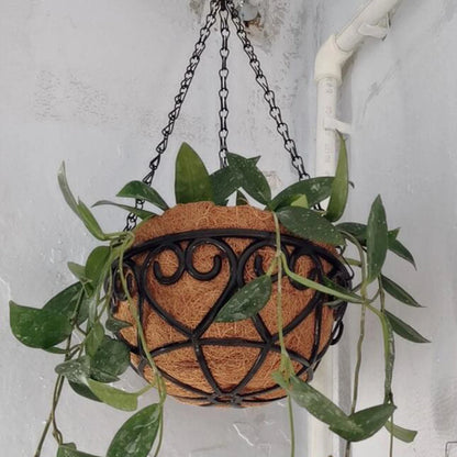 Panier Suspendu - HangingBasketFlowerpot™