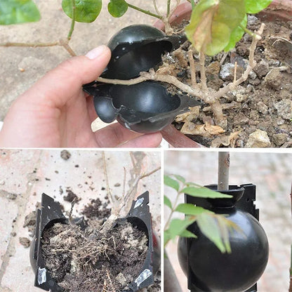 RéutilisableBouleD'enracinementPlantes™
