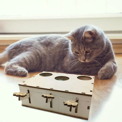 Jouet Interactif Chat - CatWhack™