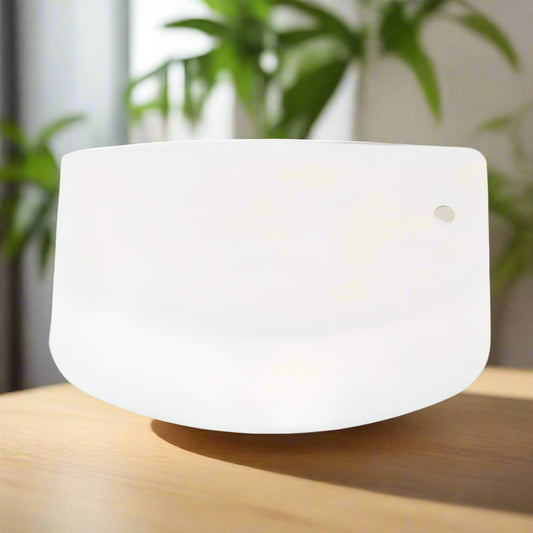 Spatule en Plastique - SpatuFlex™ - Blanc