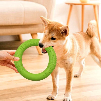 Jouets pour Chien - DogFlyingDisk™ - Vert