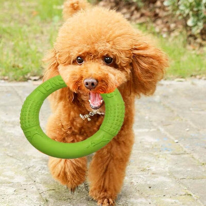 Jouets pour Chien - DogFlyingDisk™ - Vert