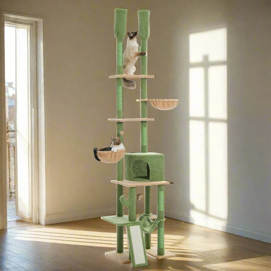 49433266651474|49433266684242|49433266717010