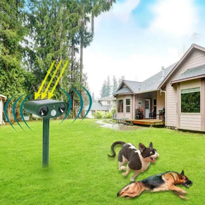 Repulsif Chat - SolarPestDefender™ - Vert