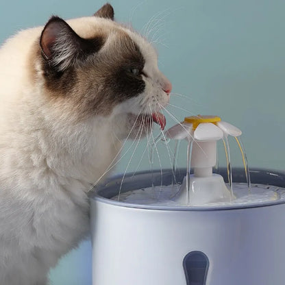 Fontaine à Eau pour Chat - CatLEDFountain™ - Bleu Clair