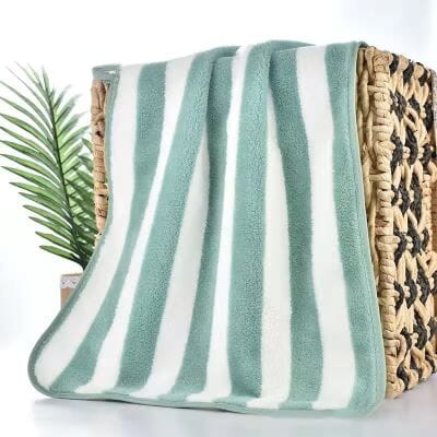 Serviette Microfibre - PetTowel™ - Rayures Menthe Douce