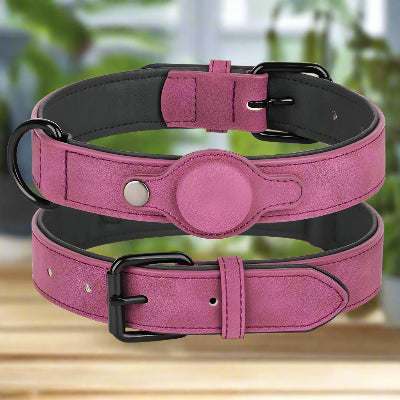 Collier pour Chien - DogGuard™ - Rose