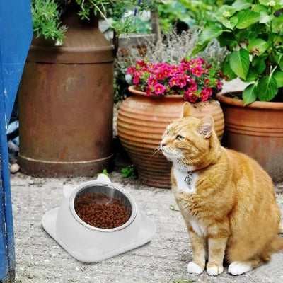 Gamelle Chat - CatTiltProof™ - Blanc