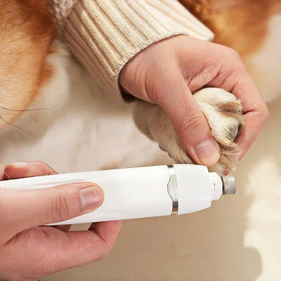 Tondeuse pour Chien - Clip&CleanPro™