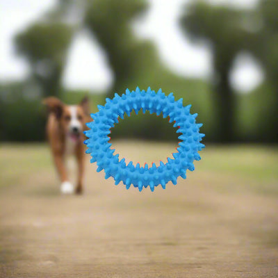 FRISBEE CHIEN - FetchBite™ - Bleu