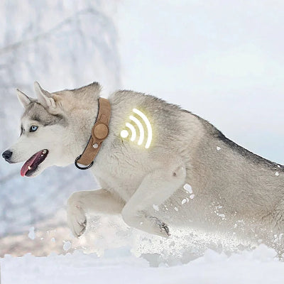 Collier pour Chien - DogGuard™ - Marron