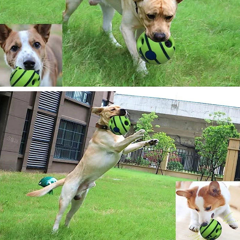Jouet Interactif pour Chien - TreatPlayDogBall™