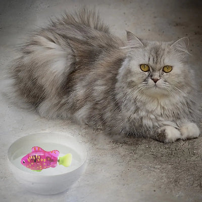 Jouet Interactif Chat  - CatchyFish™ - Rose Bonbon