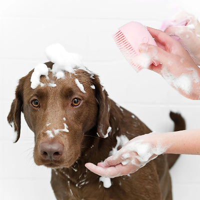 Brosse pour Chien - PawRelaxShower™