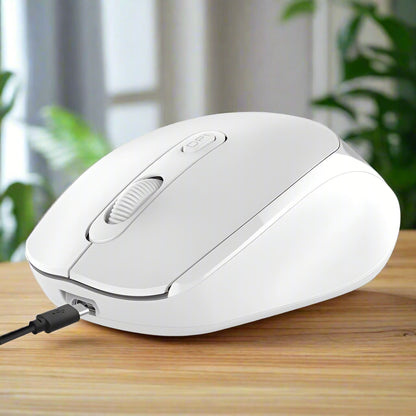 Souris Ergonomique Sans Fil - ErgoSilent™ - Blanc