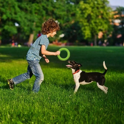FRISBEE CHIEN - FetchBite™ - Vert