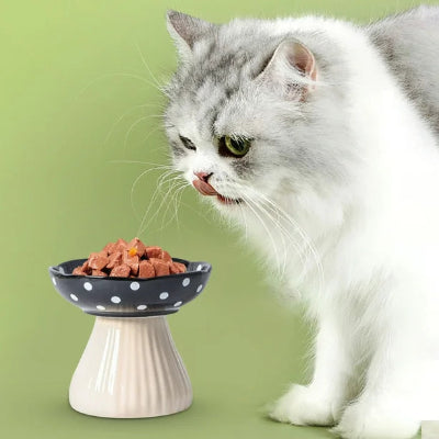 Gamelle pour Chat - CatShroom™ - Noir