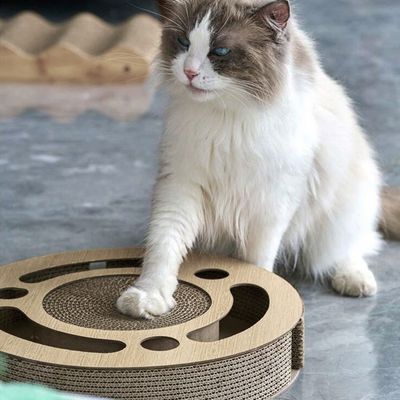 Grattoir Chat - PurrRoundScratcher™ - Minimaliste