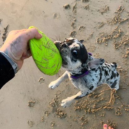 FlyDog™ - Vert