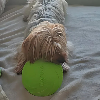 FlyDog™ - Vert