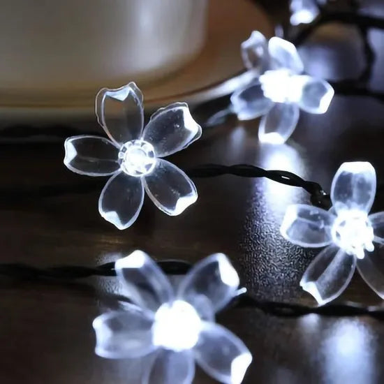 LedCherryLights™ - Blanc