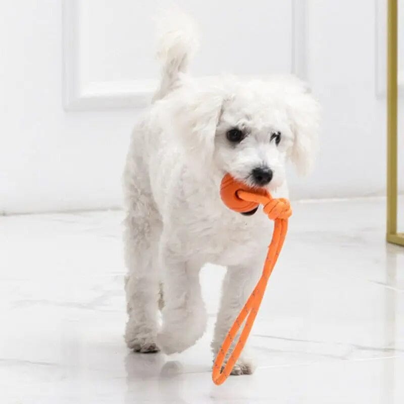 Balle pour Chien - RubberChewToys™ - Orange