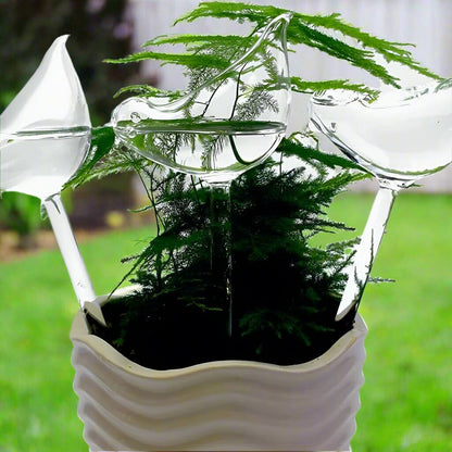PlantWateringBulbs™ - Blanc